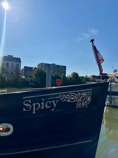 Spicy - Sejour Insolite Sur La Marne Meaux Ngoại thất bức ảnh